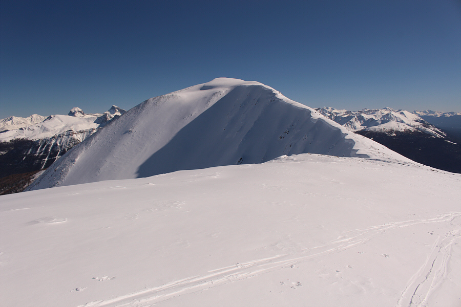 Looks a little daunting now...