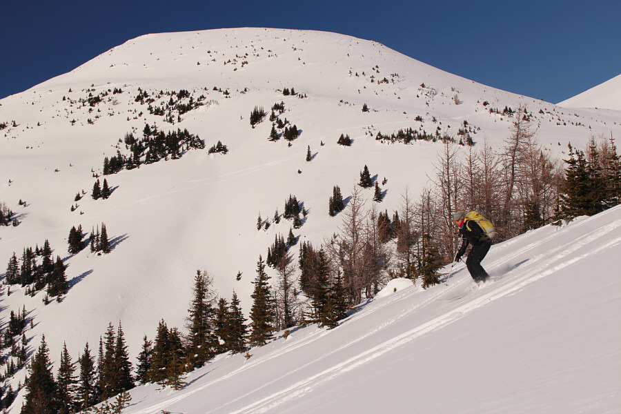 Best skiing of the day was right around here!
