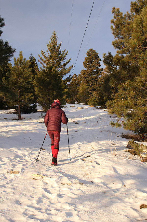 I wonder why it's called the Powerline Trail...