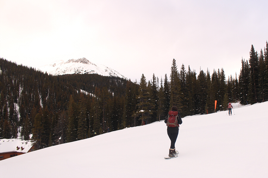 The snowshoer had no poles...just a cel phone in her hands!