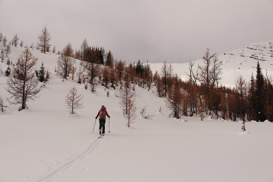 The best skiing of the day would be on this slope.