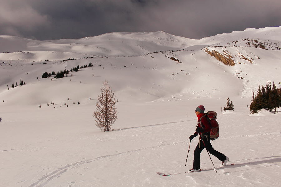 That sunshine felt wonderful!