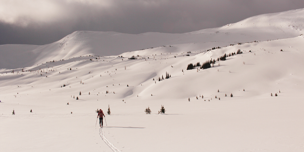 Simply breathtaking!