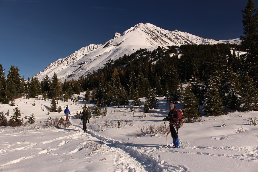 Snowshoes not required.