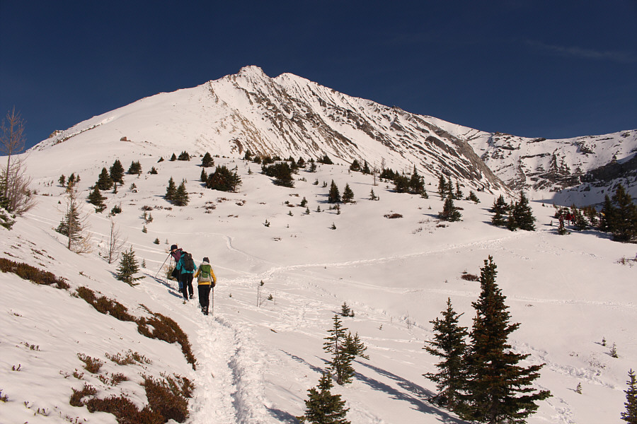 Damn! We could almost ski this slope!