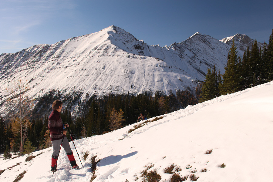 Goralu, czy ci nie zal, goralu, wracaj do hal!