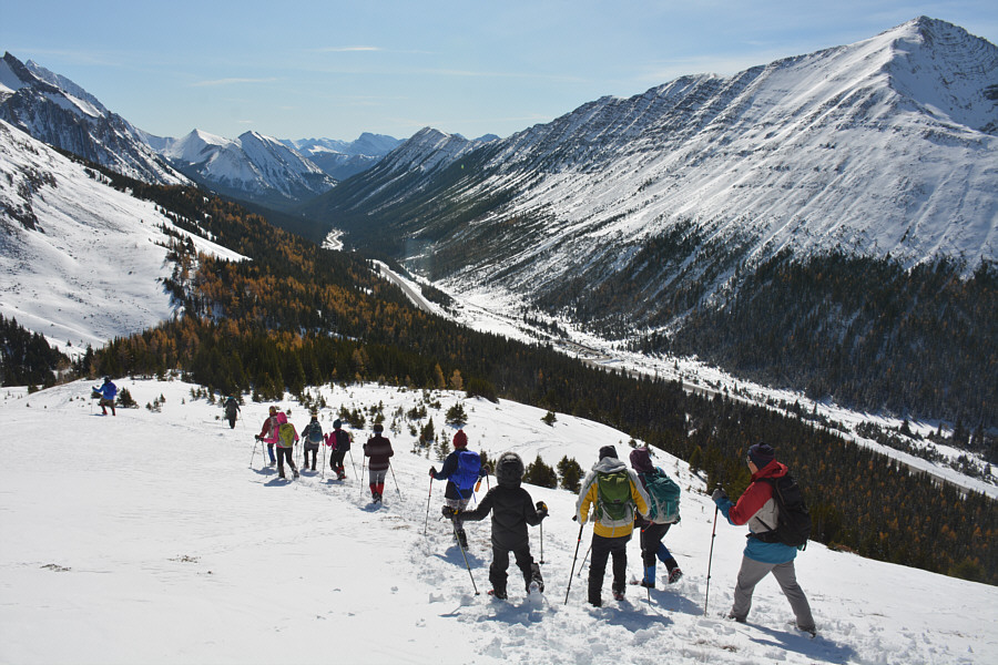 This hike felt a little too short!
