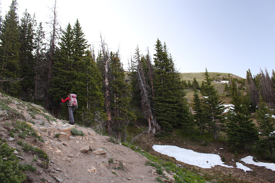 If you like forested hikes, don't do this one!