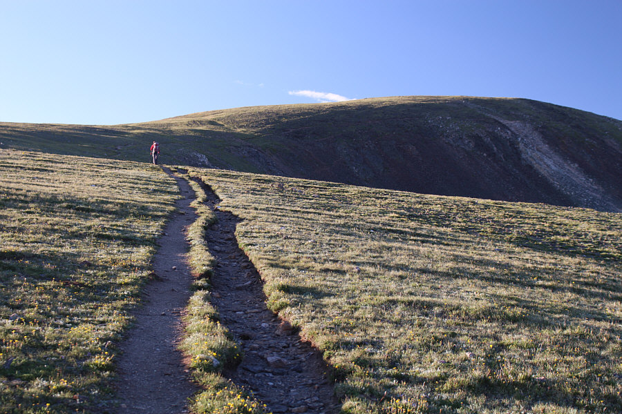 Like walking on top of a beached whale!