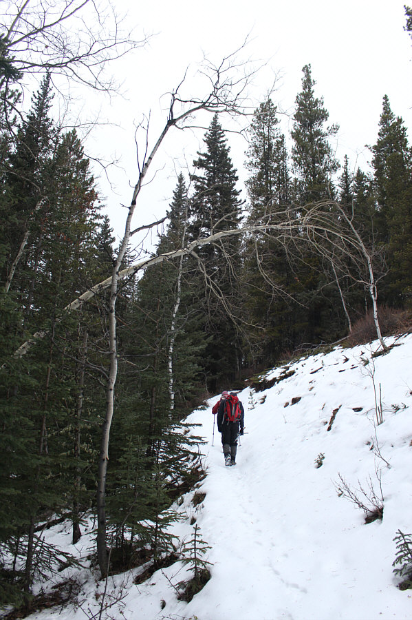 It could have been worse...