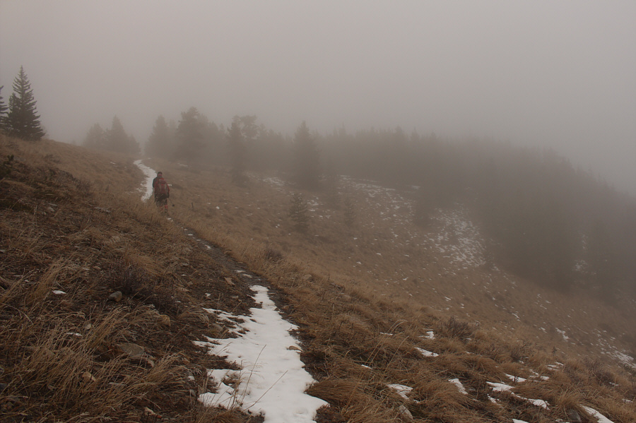 Maybe we should turn around and go play with the bear!