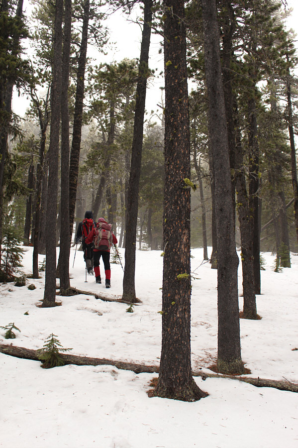 We were lucky that the snow wasn't deeper!