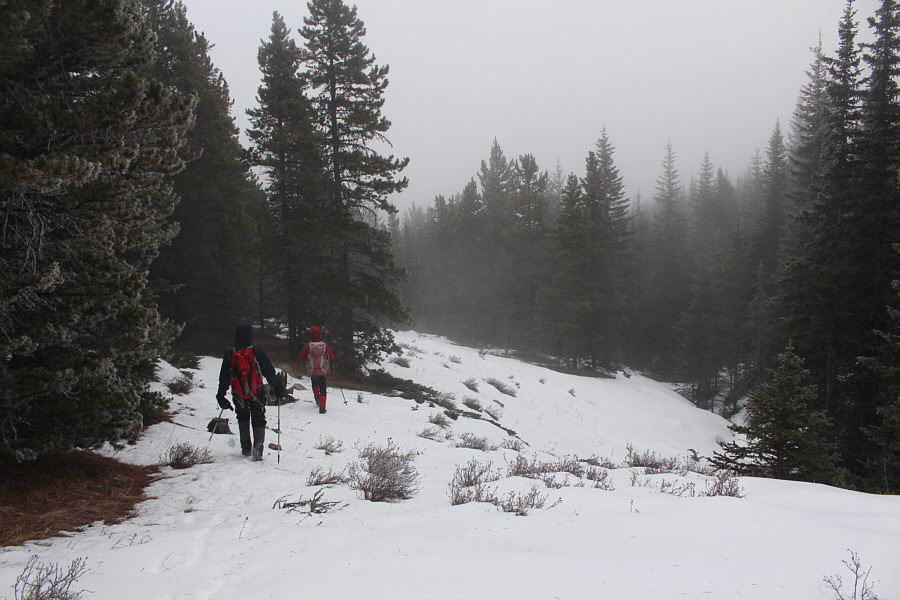 Venturing into unknown territory...