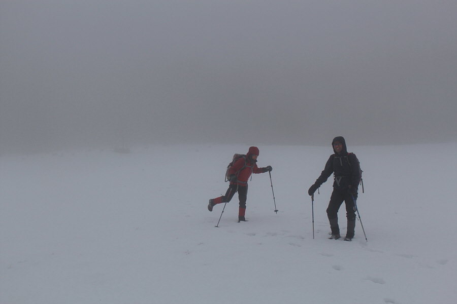 Daffern reported that a cow was killed by a grizzly bear here in 1980!