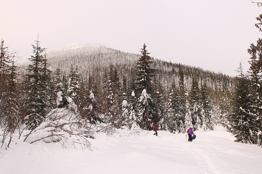 Somebody broke trail along the road from the north but turned around just before crossing Elgood Creek. Thanks!