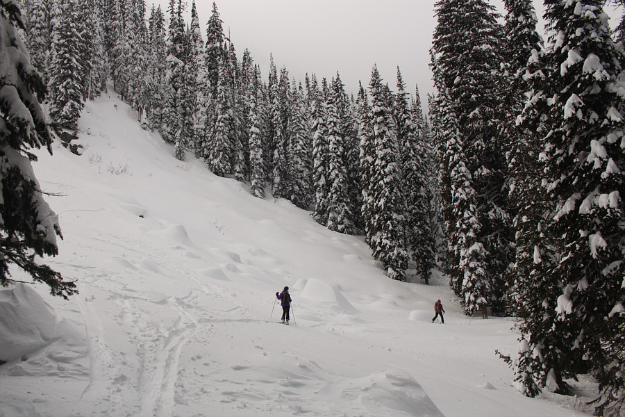 Eda is actually eyeing this slope for some reason...