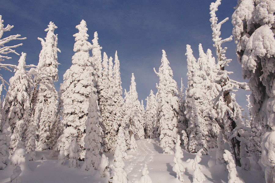It's always nicer to ski in sunshine!
