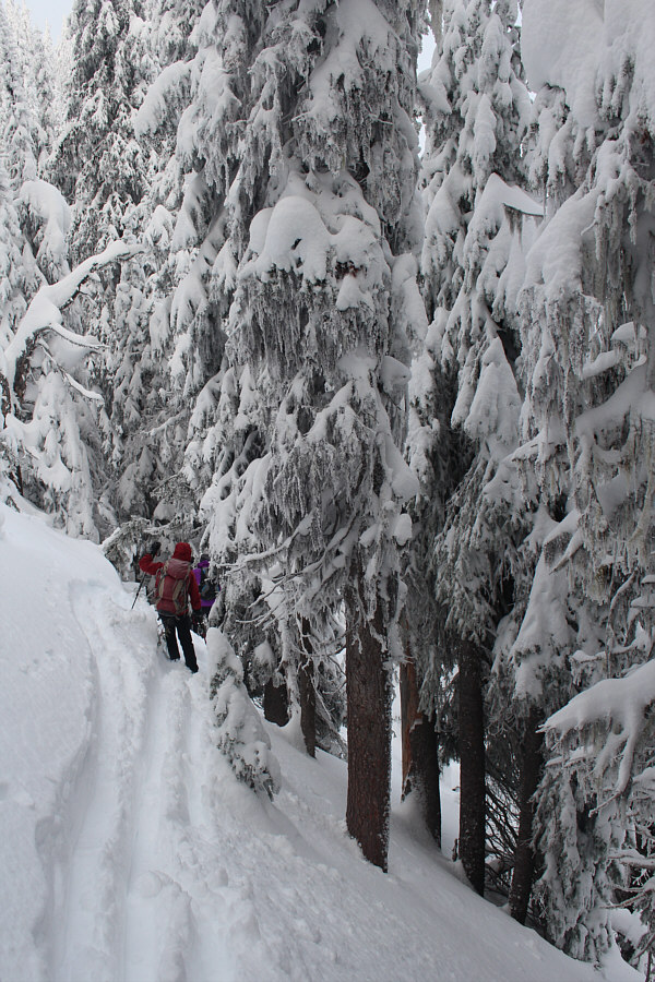 Here's where the fun begins...