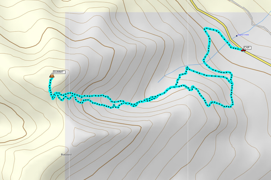 Best skiing of the year...so far!