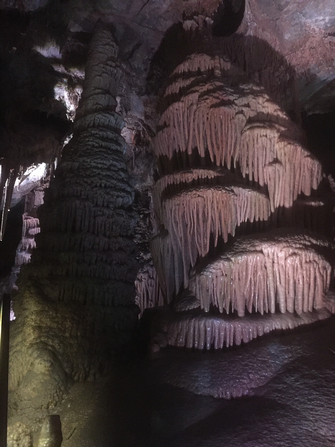 Looks like strawberry flavoured...