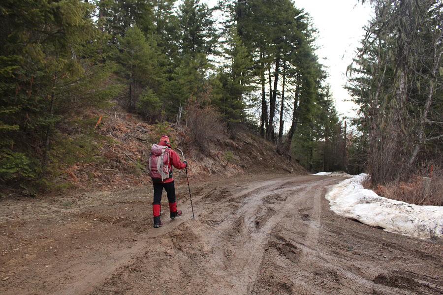 Feels good NOT to strap on skis for a change!