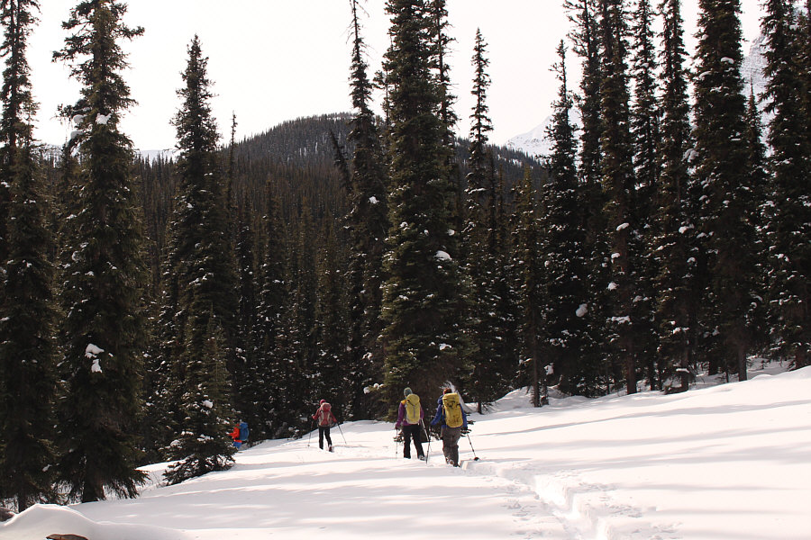 A lot of trail-breaking to follow...