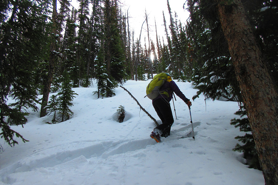 I get exhausted just looking at her breaking trail!