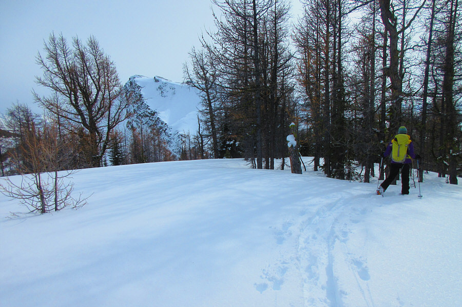 There's no need to tag the false summit unless you really want to and have the extra energy!