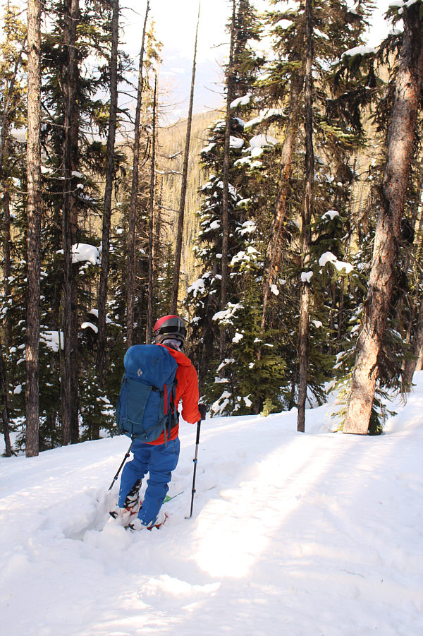Peter is very colour-coordinated with blue and orange. He would fit in well as a Denver Broncos or Edmonton Oilers fan!