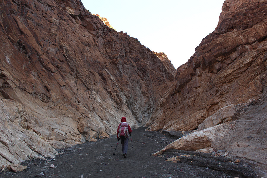 Lots of fun to come!