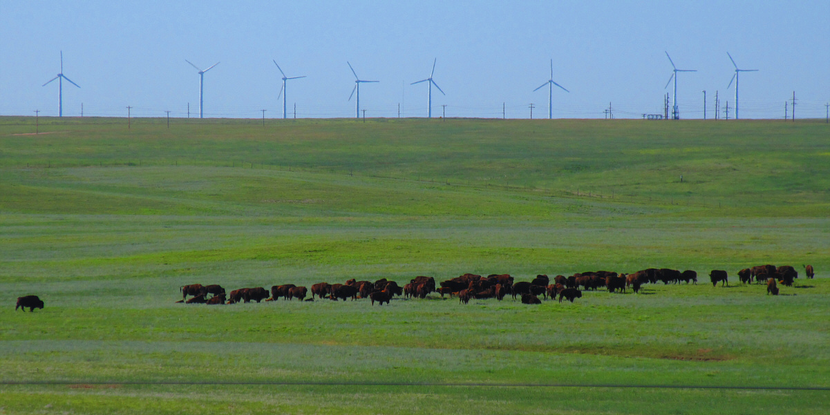 What a seemingly boring existence!