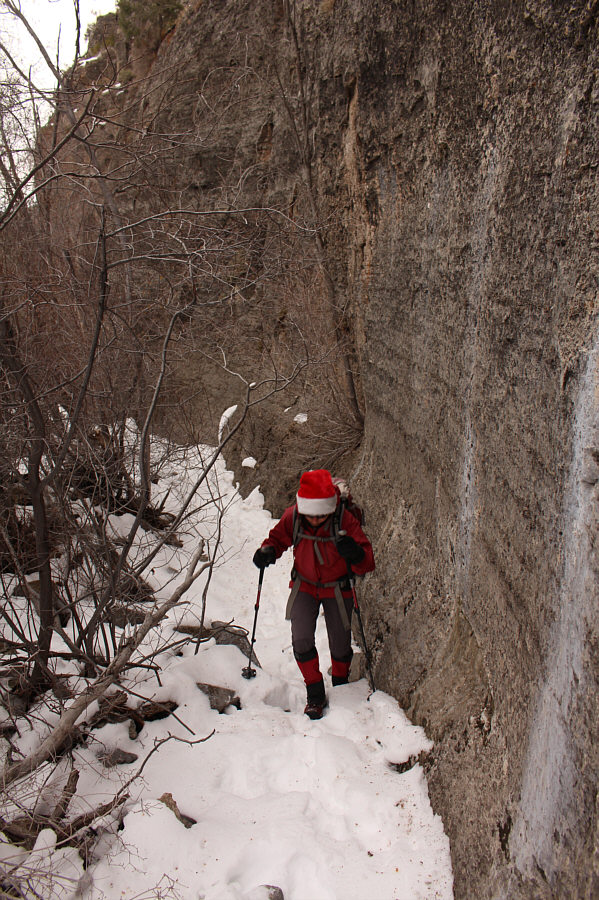 What's a hike without a little bushwhacking?