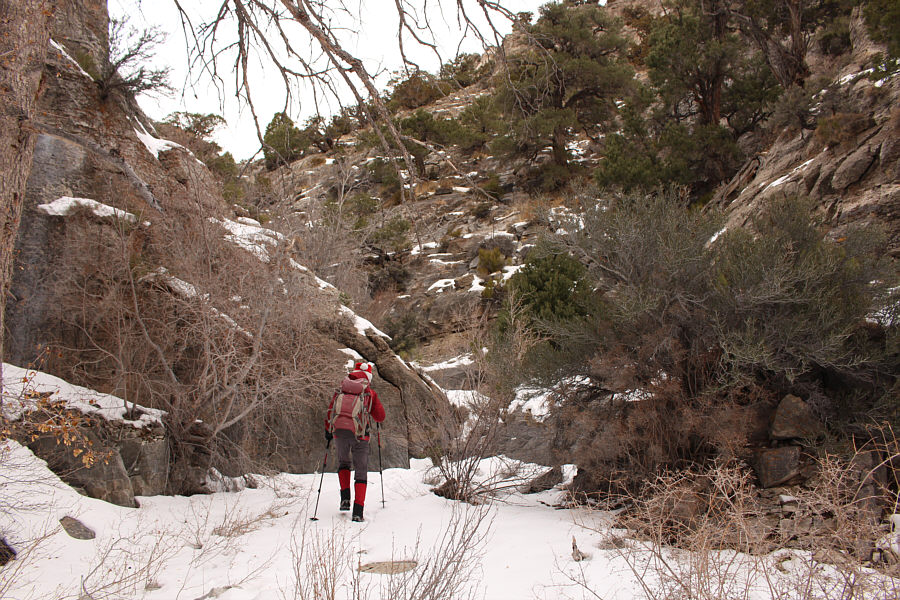 Thank goodness the snow was mostly supportive and not too deep!