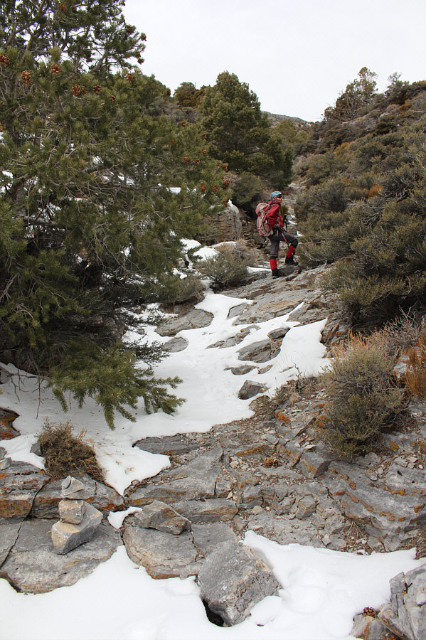 I guess we're still on the right track!