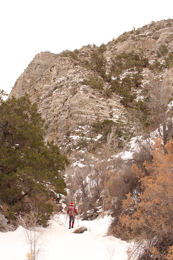 A little easier going downhill through the canyon.