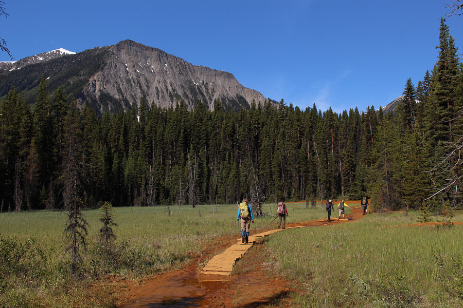 They could use a few extra boards!