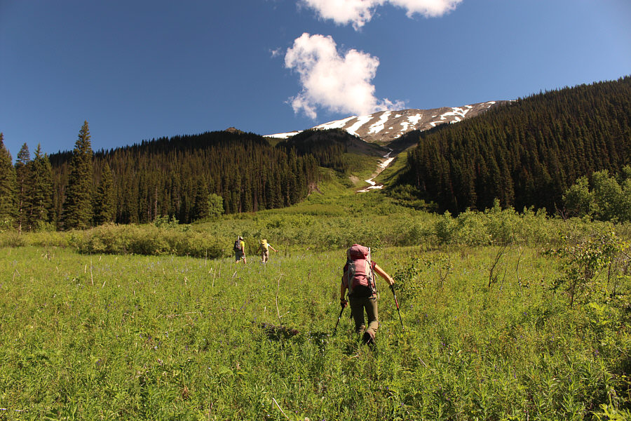 And the grind begins...