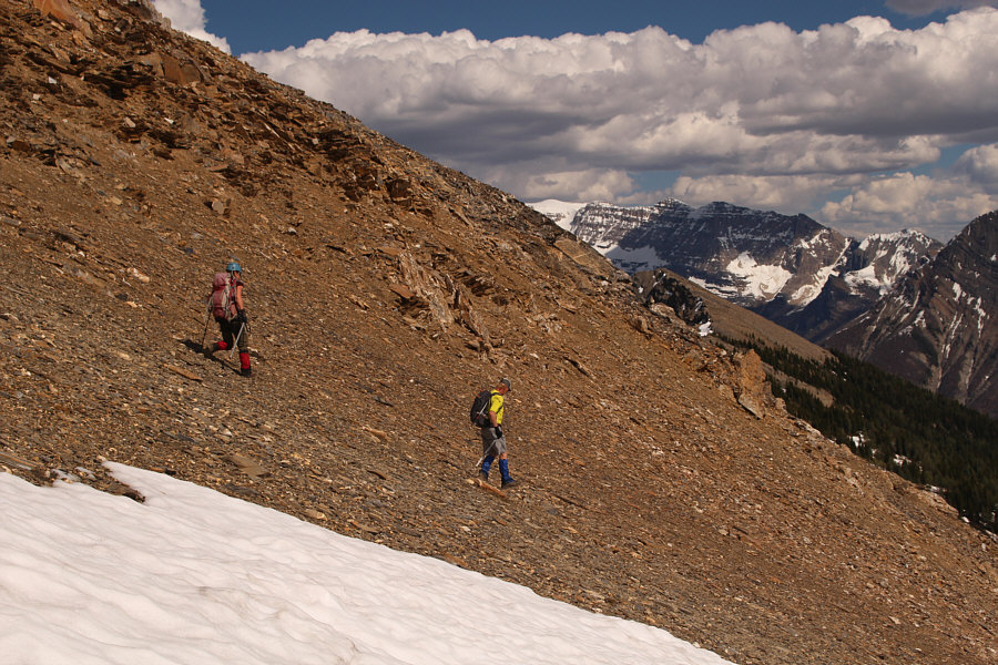 Does the trick, and they keep their bums dry!