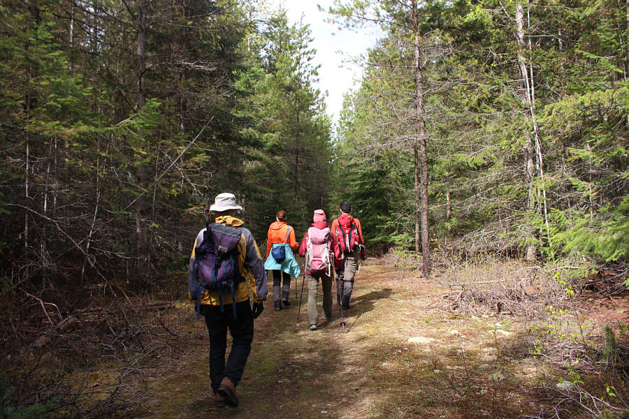 Sure beats bushwhacking!