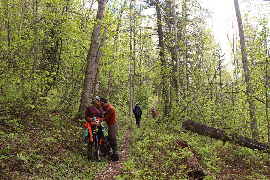 Not much to see but nevertheless very pleasant!