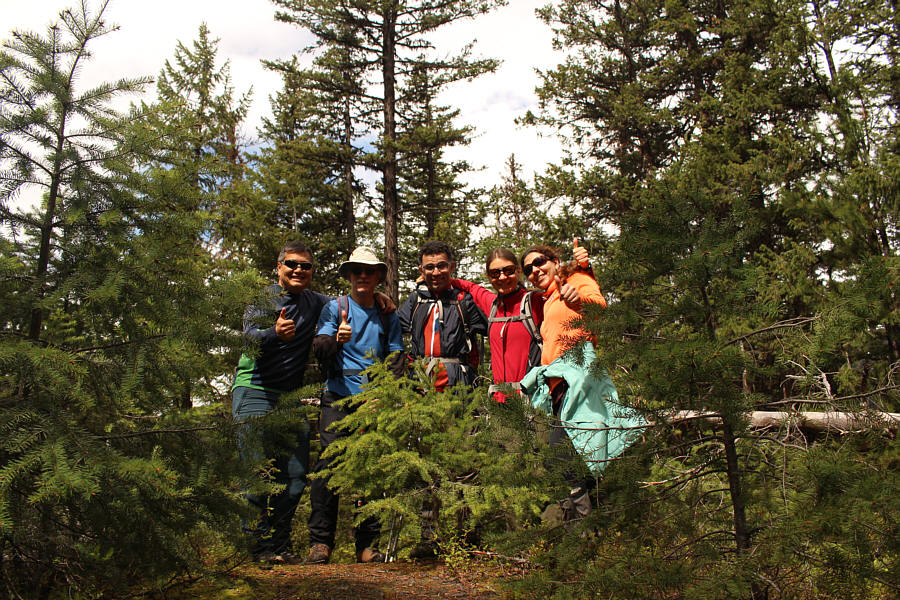 If they clear-cutted this summit, it would probably be one of the most popular hikes in the park!