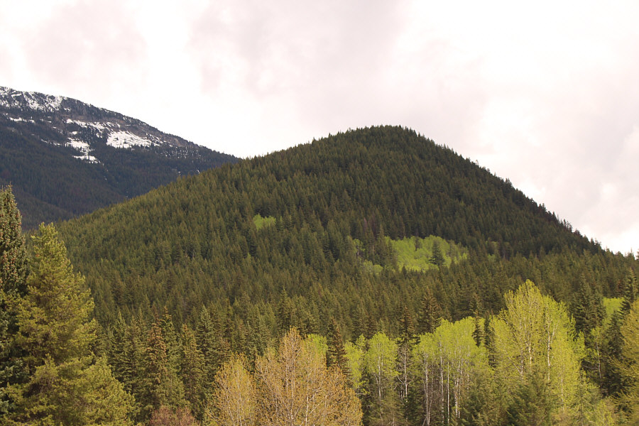 Hard to believe we had any views at all from the top of this thing!