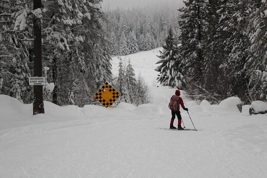 I wonder where the experts start?