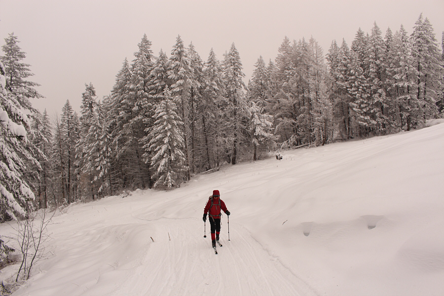 We were slipping a bit on our skis at this point.
