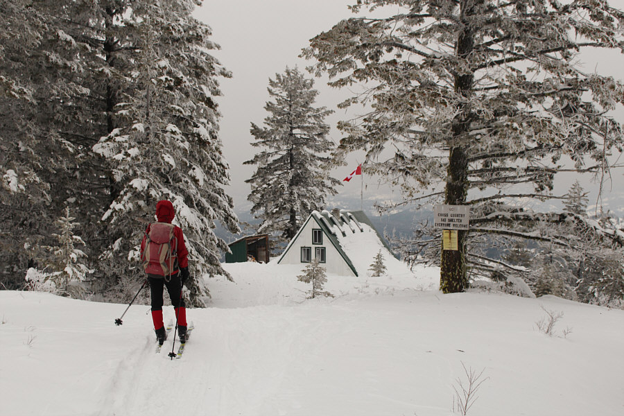 There must be some Russian immigrants in the area.