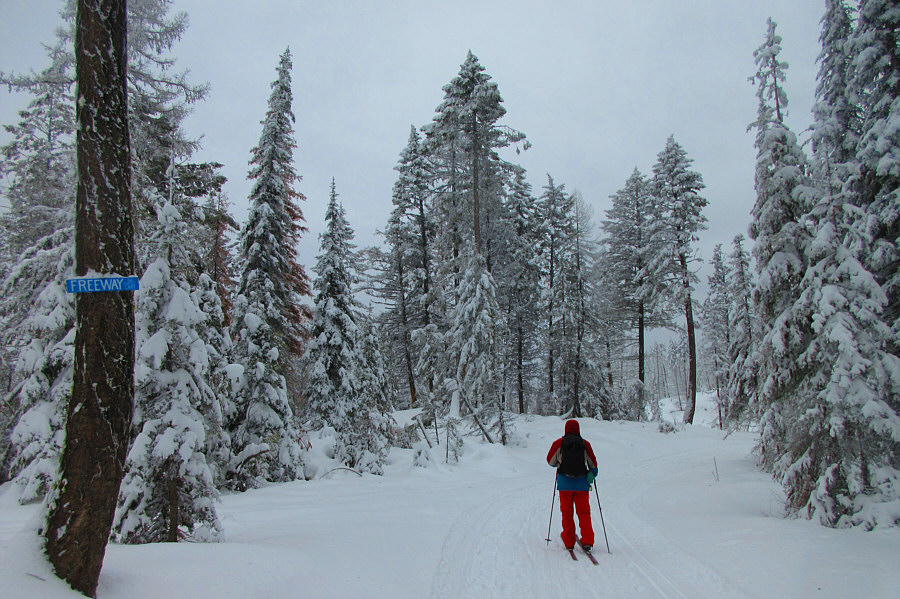 Cruisin' for a bruisin'!