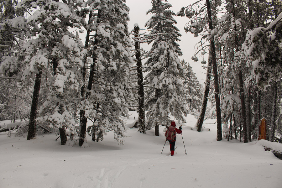 Thank you, Zosia, for breaking trail...again!