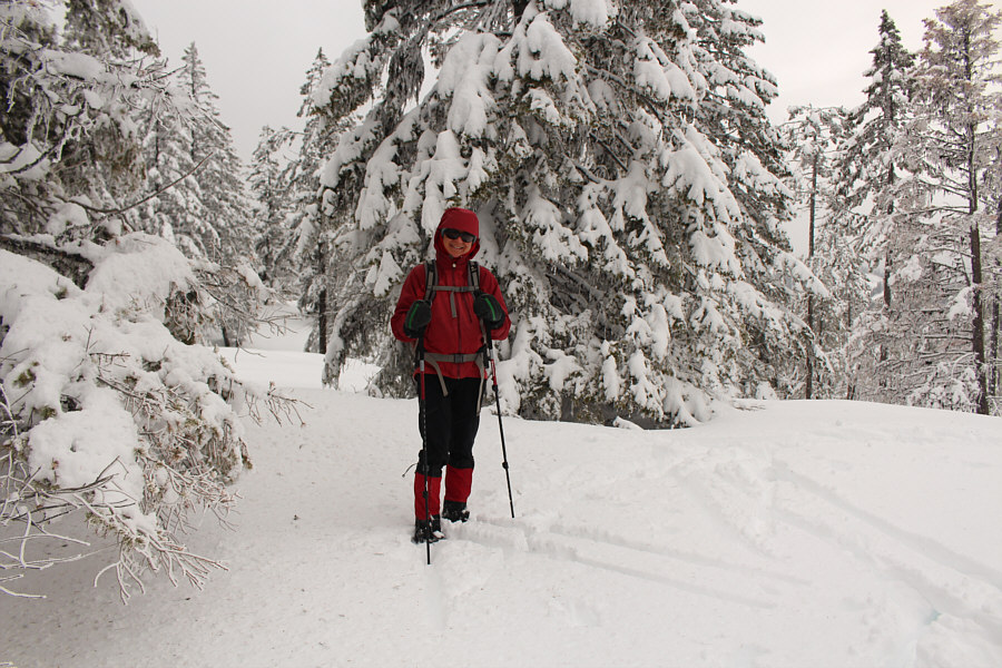 I'm claiming a summit since we had to break trail to get here!