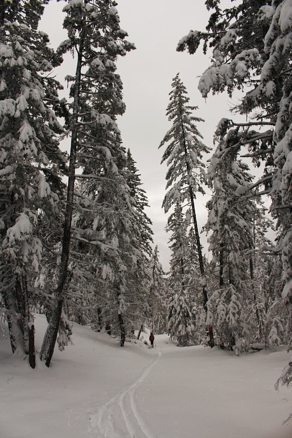 Very peaceful and quiet here!