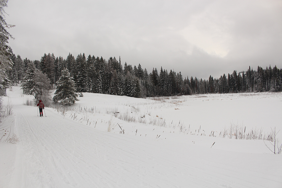 It's probably really buggy in summer!